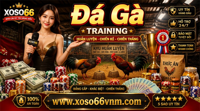thomo hướng dẫn Đá gà xoso66