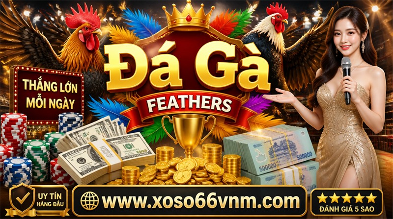 gà chọi c1 thomo hướng dẫn Đá gà xoso66